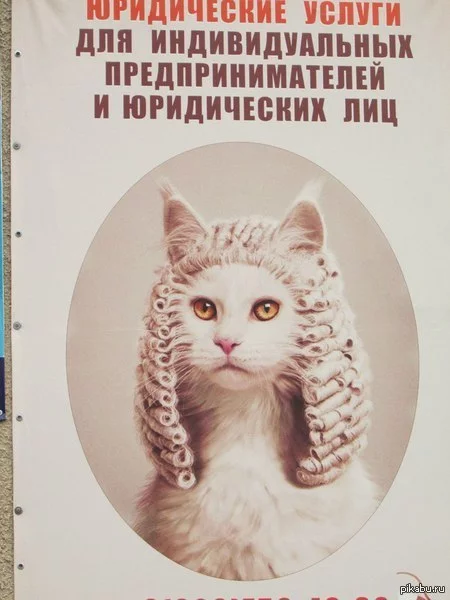 1422356506_901484505.webp