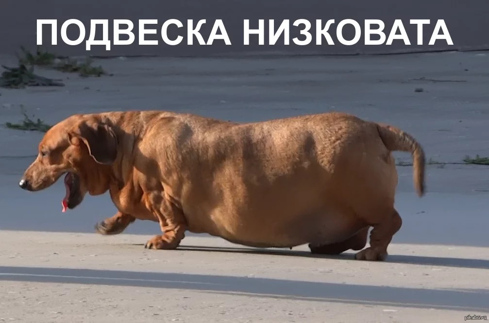 1422876375_1730393284.webp