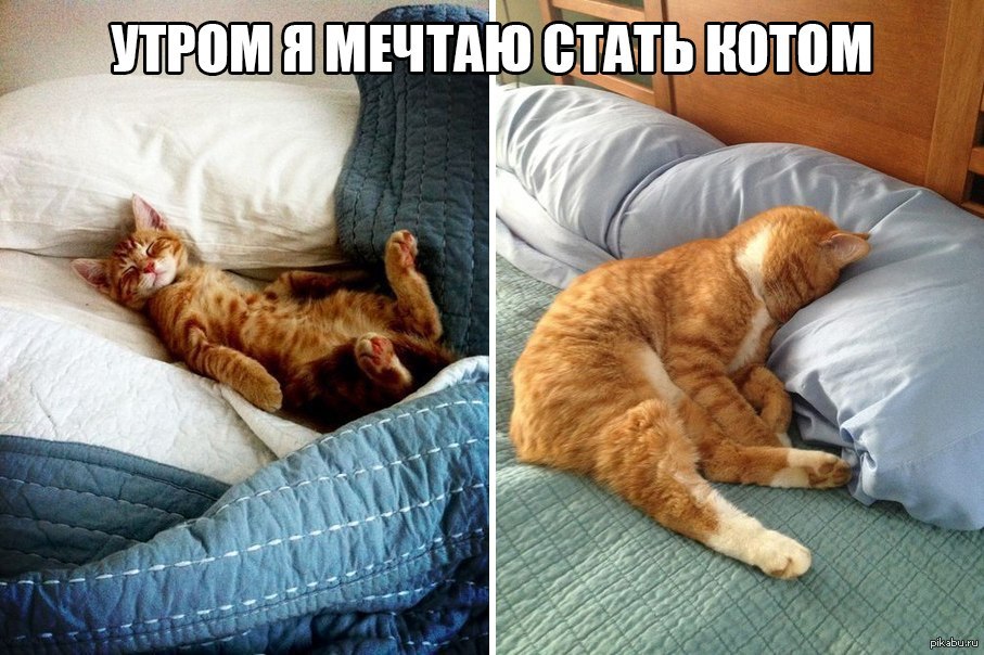 1423117195_611099075.jpg