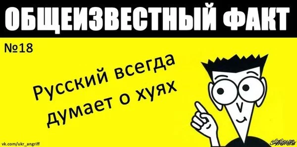 1423312145_648086338.webp