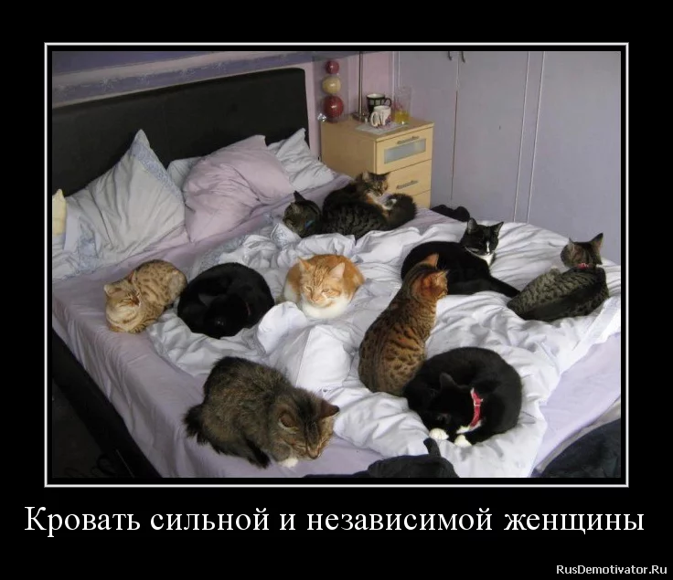 1423328441_7322880.webp