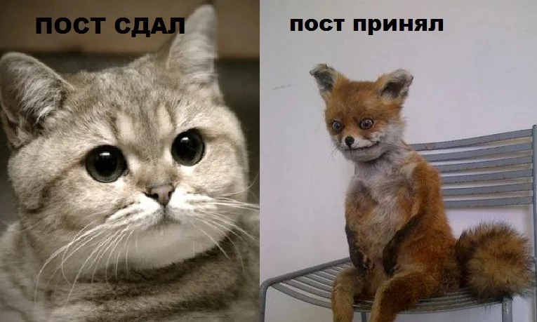 14234154018774.webp