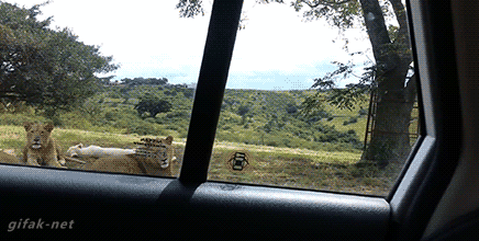 1425449876_981632607.gif
