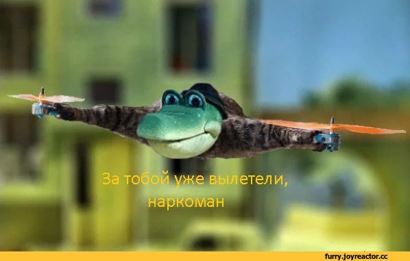 1425588400224.webp