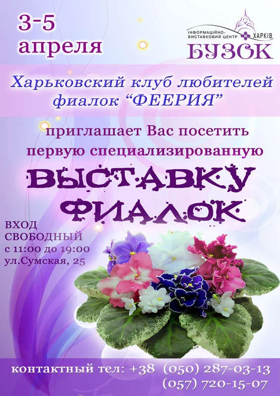 14259892802319135.webp