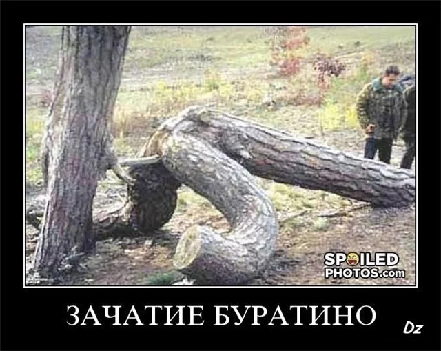 14271046848521.webp