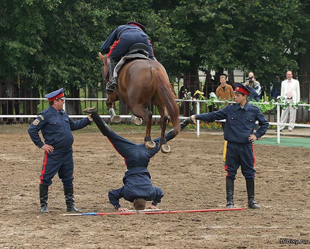 142763_13_trinixy_ru.jpg