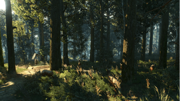 1428678565-w3-forest.gif