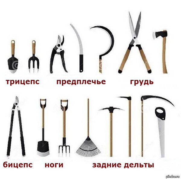 1429166760_495961004.jpg