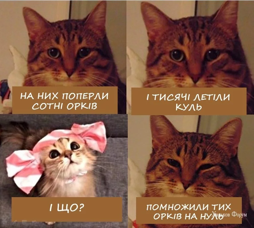 142a6617597a4a46c3d.webp