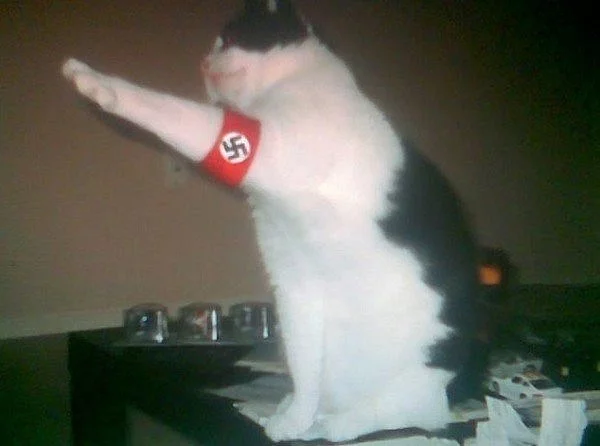 14328366751698.webp