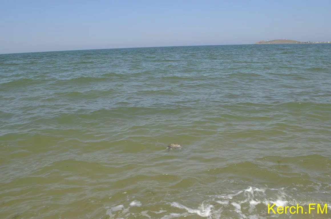 1434230068__dsc1995-kopirovat.webp