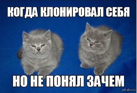 1434292437_655452283.webp