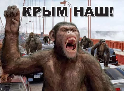 1435449142_kry.webp