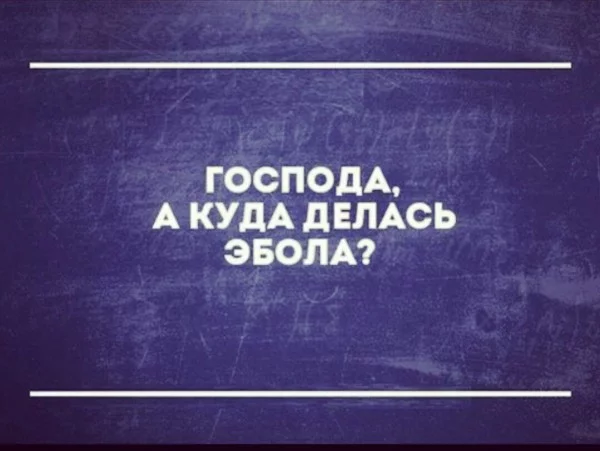 1437622_original.webp