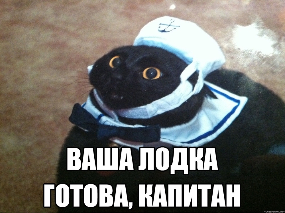 143832522512117797.jpg