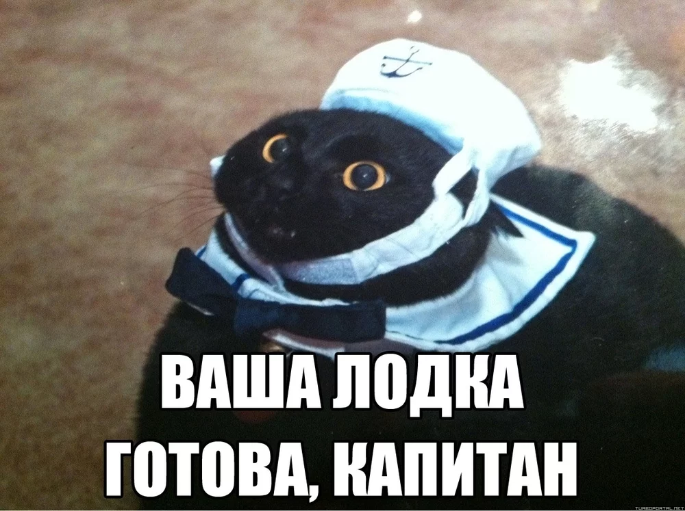 143832522512117797.webp