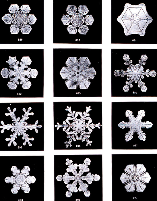 1439340_SnowflakesWilsonBentley.jpg
