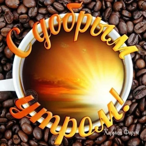 143df0bd4f64a8f7.webp