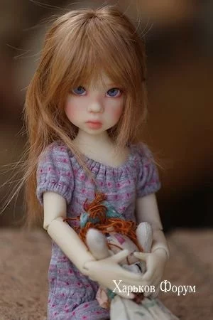 1440671023cffe886438393.webp