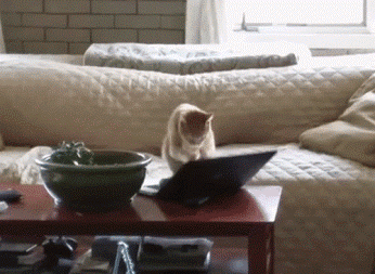 1442242489_1321040046.gif