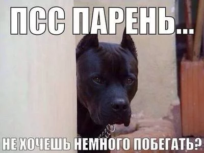 144549739612947983.webp