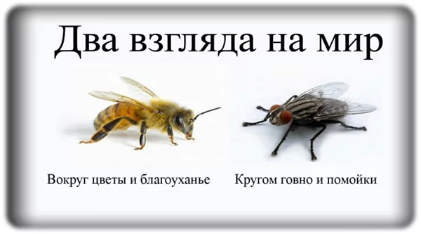 1446713431115085536.webp