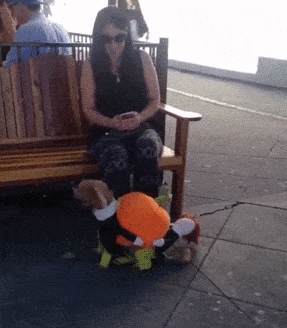 1447773124_783598107.gif