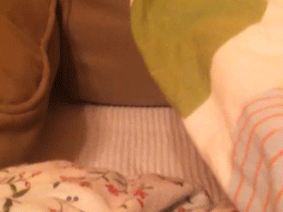1450172016_kotyara.gif