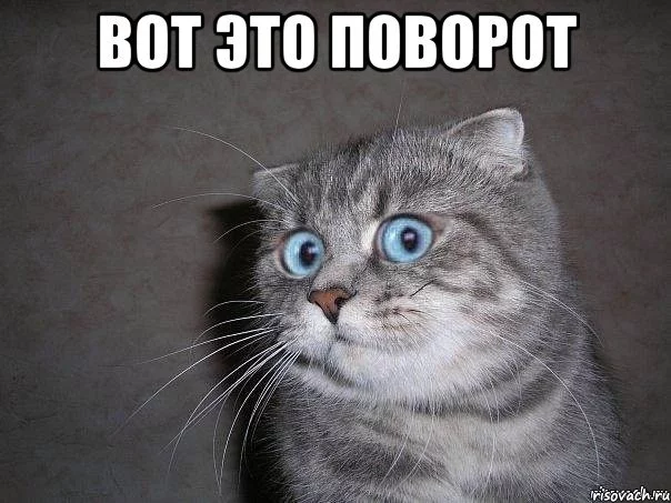 1454475633113220868.webp