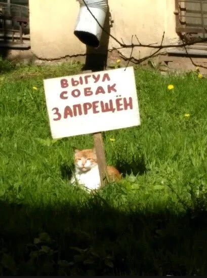 14546992.webp