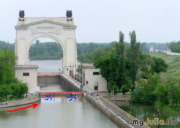 1454832471113294979.webp