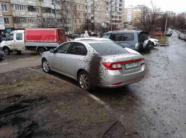 145640902916412726.webp