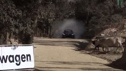1457386684183827054.gif