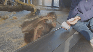 145811986812779630.gif