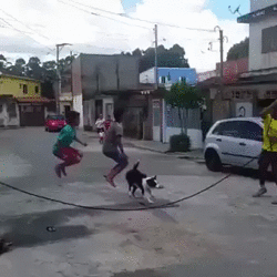 1458150699131791797.gif