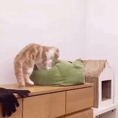 1458153374135877437.gif