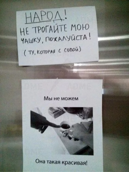1458165089140883522.webp