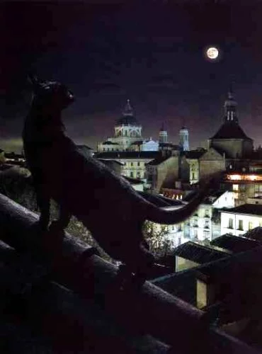 145940_250267.webp