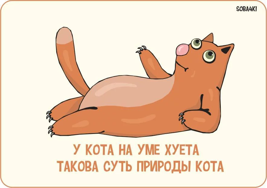 1459450197166563720.webp