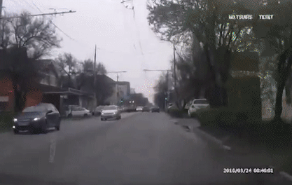 1459555032188778061.gif