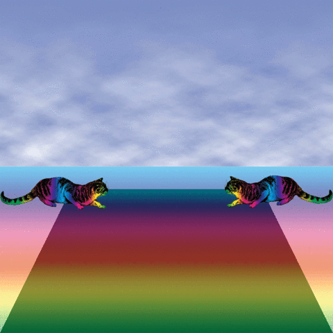 145c2d46e0266de59.gif