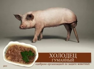 1460885455135331501.webp