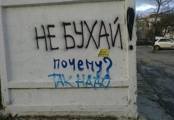 1461963441123754868.webp