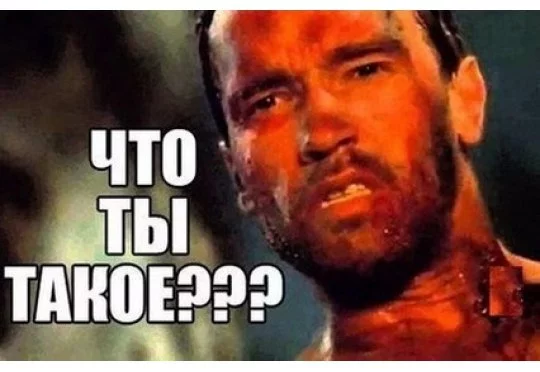 146356090115859947.webp