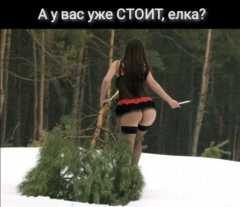146f737b2f3619d374b22.webp