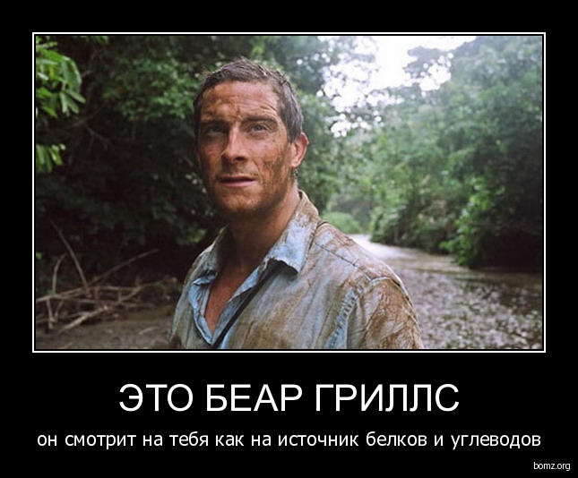 147053-2010.01.08-03.59.52-bear-grylls.jpg