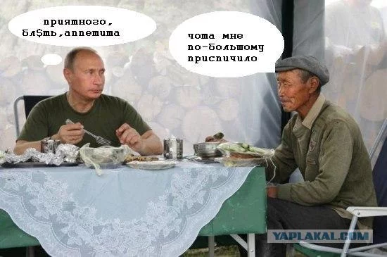 1473243.webp