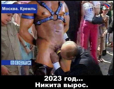 14741_original.webp