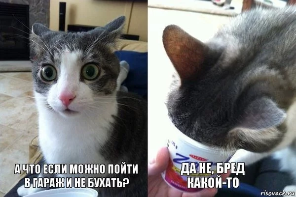 1479379741196834460.webp
